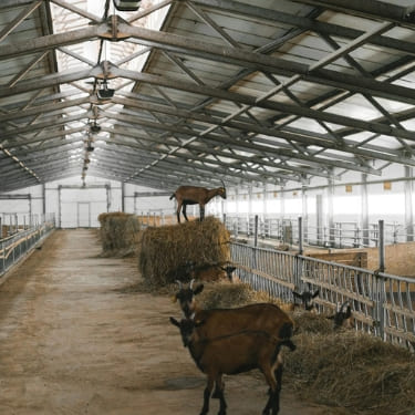 construction bâtiment agricole à Vay