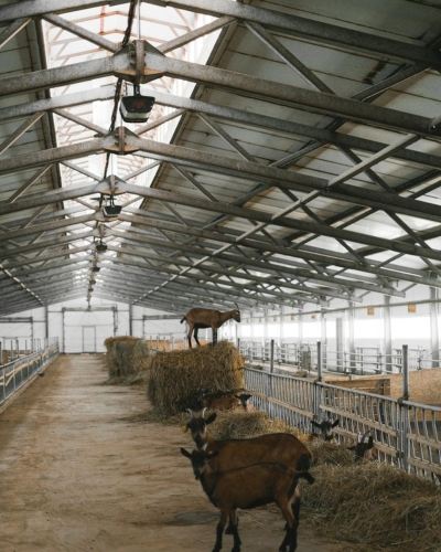 Construction bâtiment agricole Vay 44 Loire Atlantique